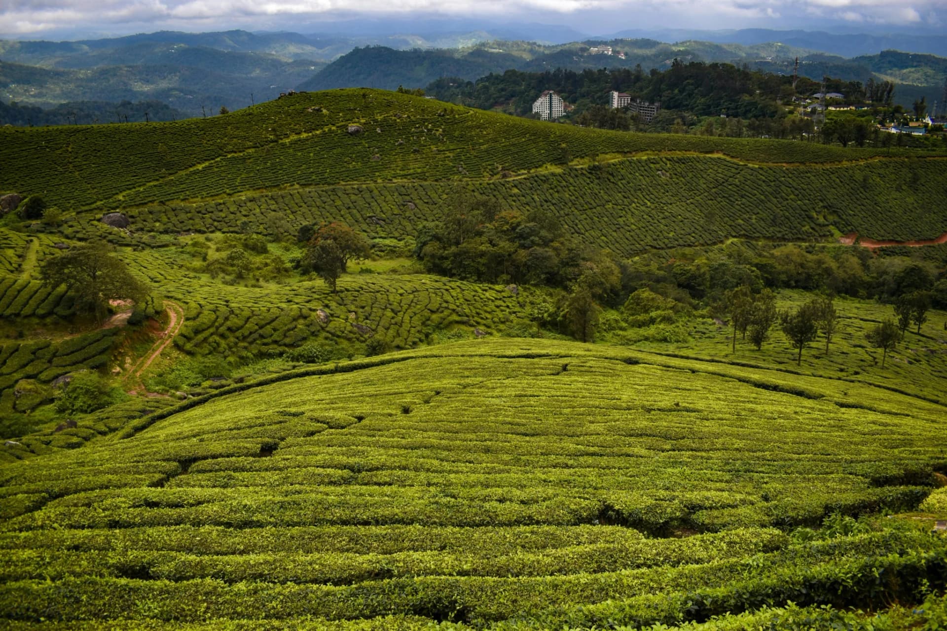 Munnar Short Escape