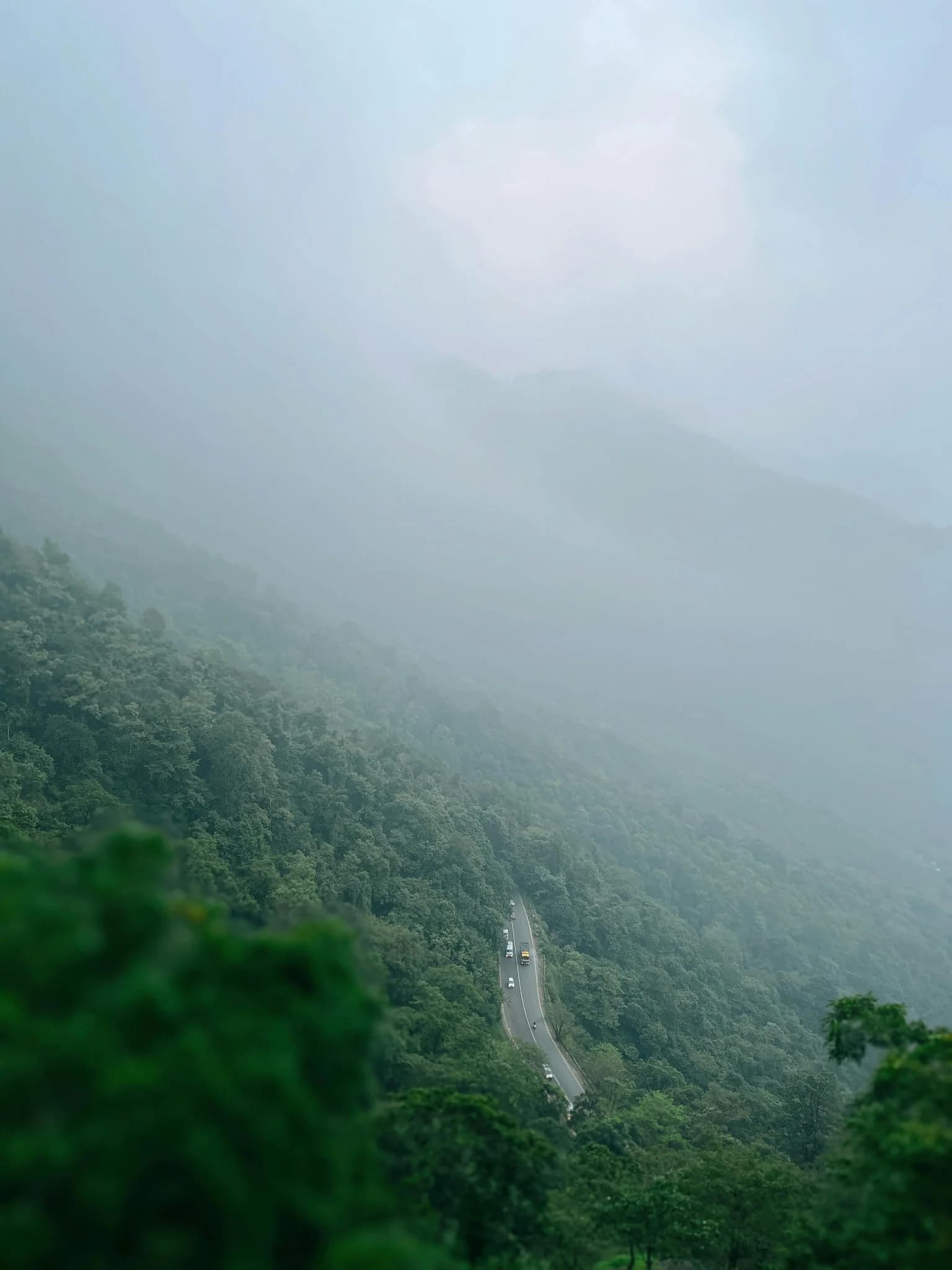 Wayanad forest retreat with lush hills in Kerala